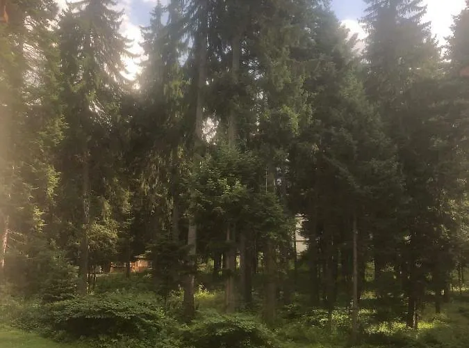 Appartement -villa Park Sv